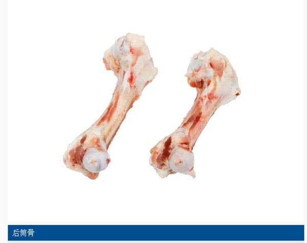 后筒骨