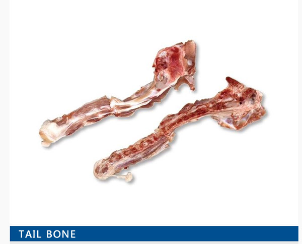 Tail bone