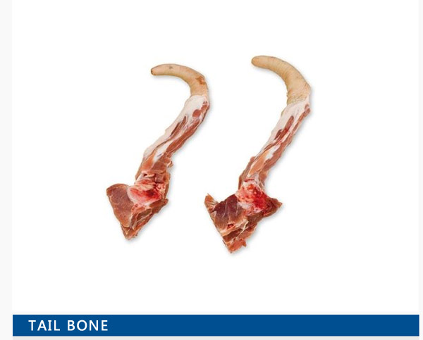 Tail bone
