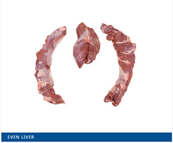 Even liver