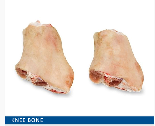 knee bone