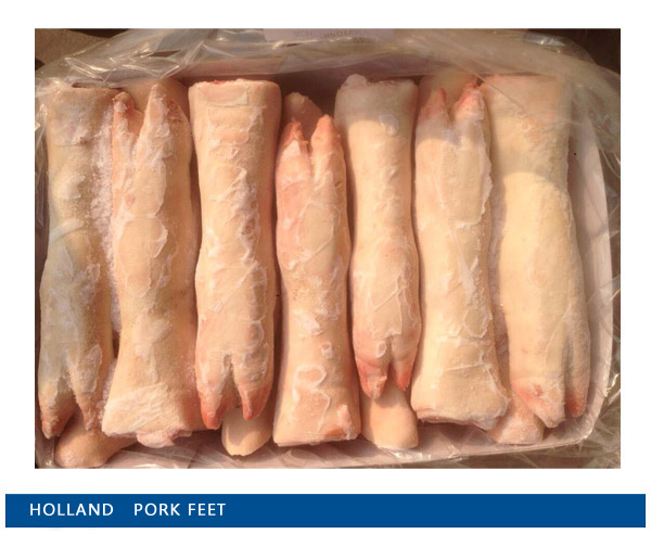 Holland  pork feet