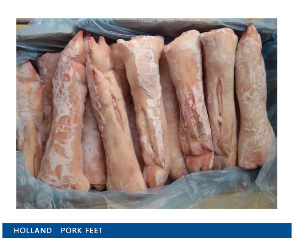 Holland  pork feet